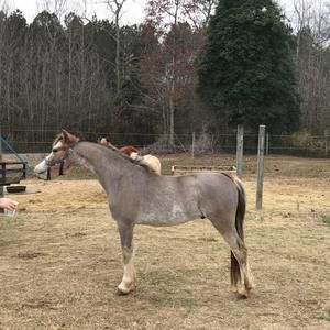 Meet your Posher, Karen